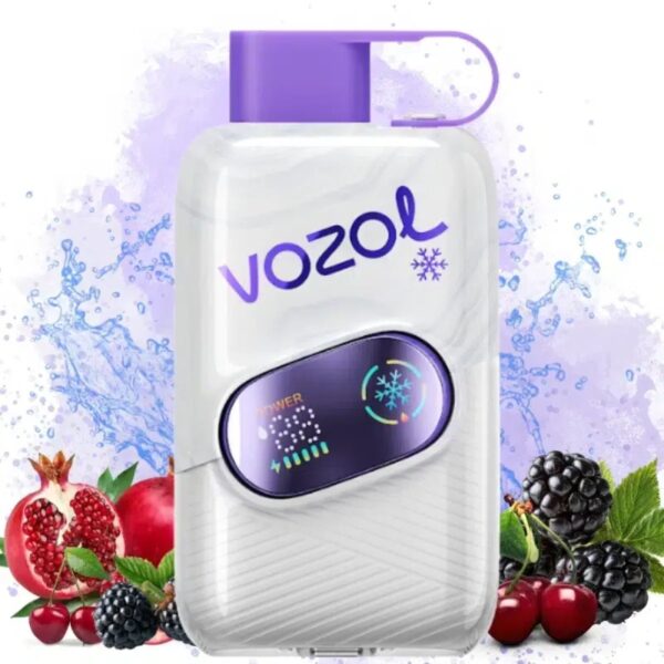 img_0610 Vozol Tropical Fruit Storm